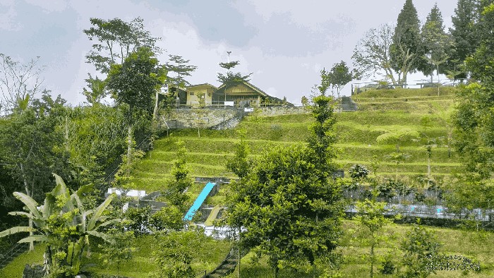 1769123155001-ugc-dtravelers-detiktravel-1769093187602