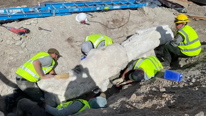 1769145011070-fosil-dinosaurus-1768889352074_169