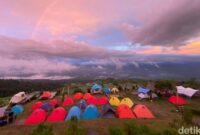 1769339211507-suasana-di-lokasi-kebun-raya-dempo-spot-camping-yang-ada-di-pagar-alam-sumatera-selatan-1766731512113_169