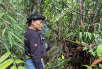 1769404181125-bambu-tahura-depok-1769396075634_169