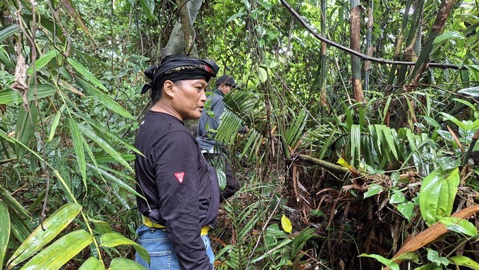 1769404181125-bambu-tahura-depok-1769396075634_169