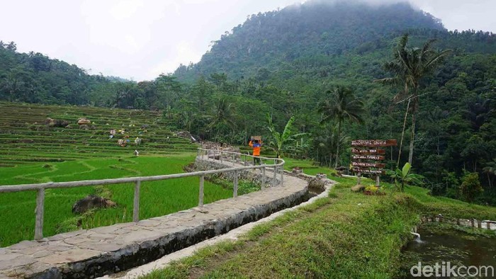 1769404192836-10f1bcd5-bfc3-4df1-8f66-f0c33c7b28ee_169