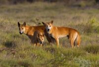 1769425717155-c6728af6-5047-43e2-a94b-abc2777837d1_169