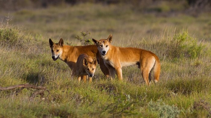 1769425717155-c6728af6-5047-43e2-a94b-abc2777837d1_169