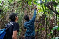 1769490434746-tahura-pancoran-mas-sisa-hutan-alami-yang-bertahan-di-tengah-kota-depok-1769014453851_169