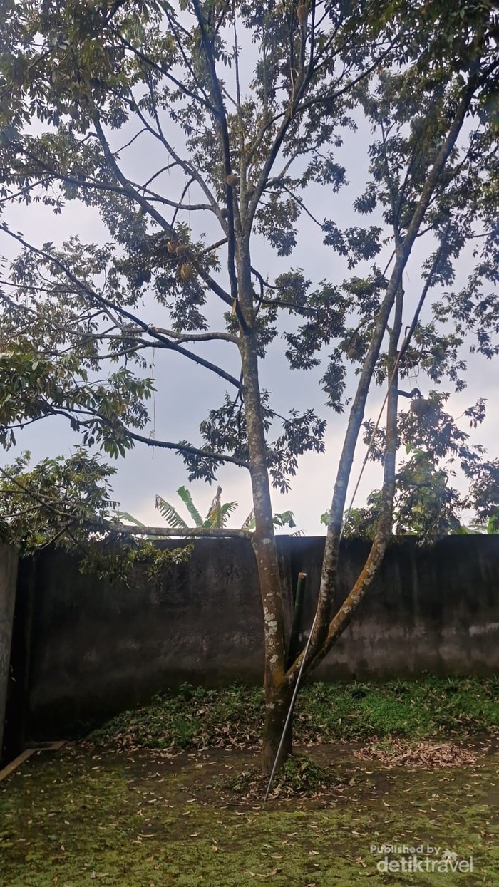 1769533754835-ugc-dtravelers-detiktravel-1769514285101